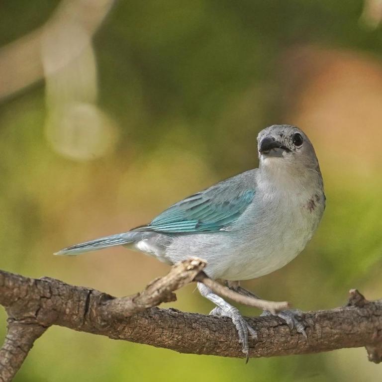 Maktub Alta Gracia, Complejo para Turistas - Habitación Superior - 1 cama grande - 27