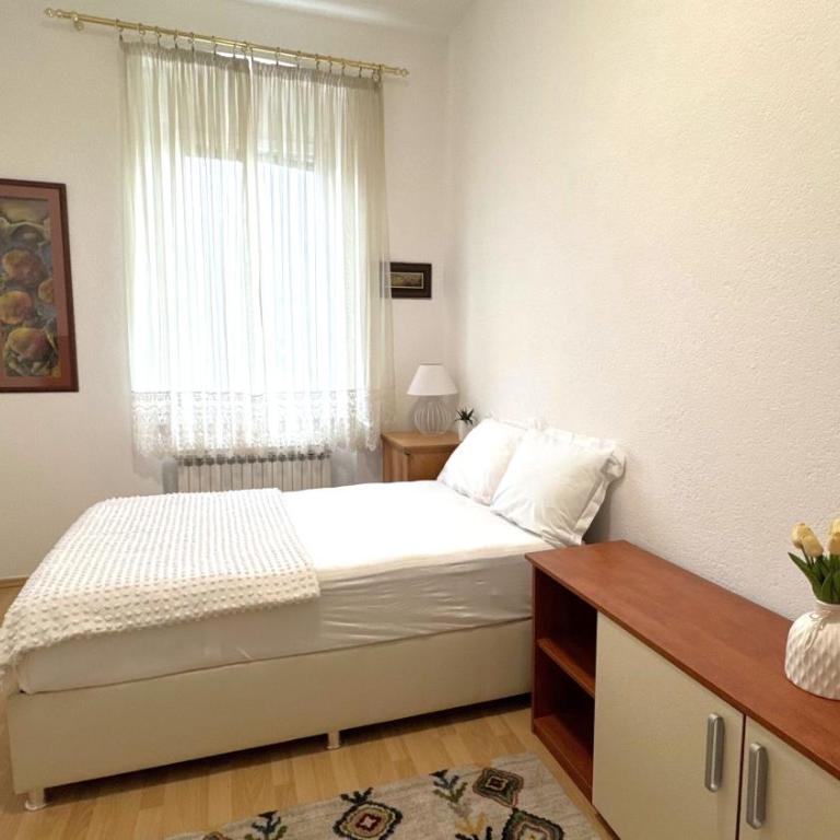 Austrian Apartment Sarajevo City Center - Apartman sa 2 Spavaće Sobe i Pogledom na Grad - 10