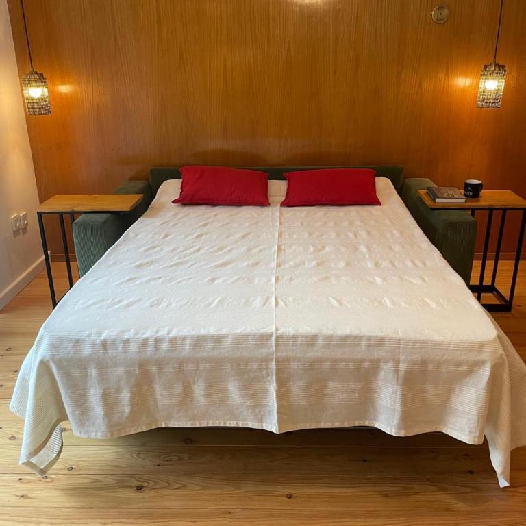 Springhouse - Appartamento con 1 Camera da Letto e Terrazza - 15