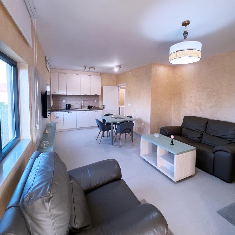 Apartments Aerodrom - Apartman s 1 Spavaćom Sobom i Terasom - 7