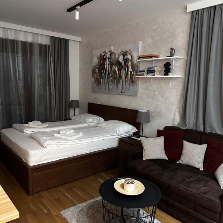 Zlatibor Studio 6 - Studio with Terrace - 6