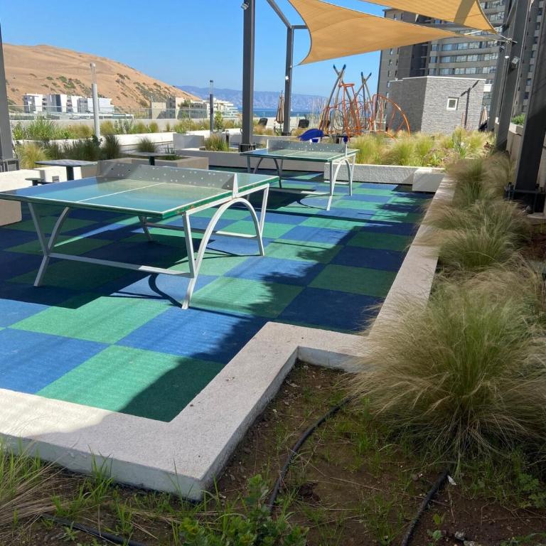 A beautiful apartment in the coastal sector of Concon - Apartamento de 2 dormitorios - 19