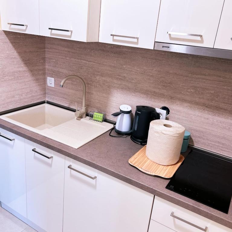 Apartments Aerodrom - Apartman s 1 Spavaćom Sobom i Vrtom - 5