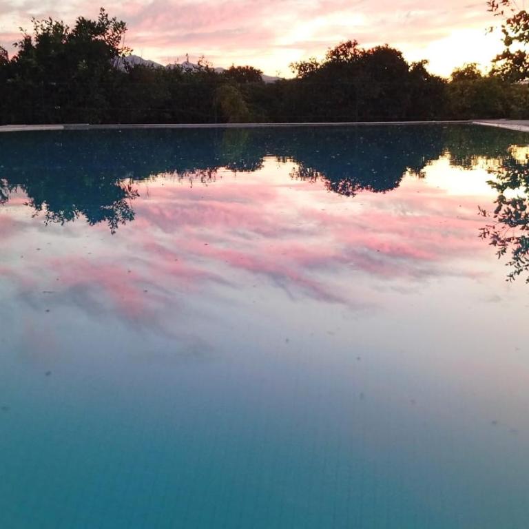 Finca el Aulagar 1 - Two-Bedroom House - 1