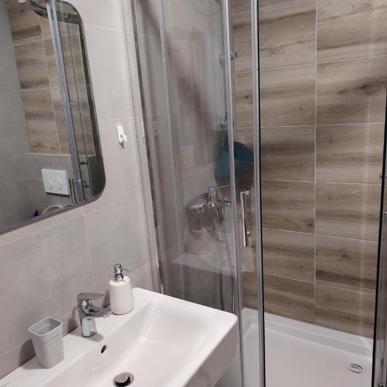 Stela Divcinova - Apartman sa 1 Spavaćom Sobom - 12