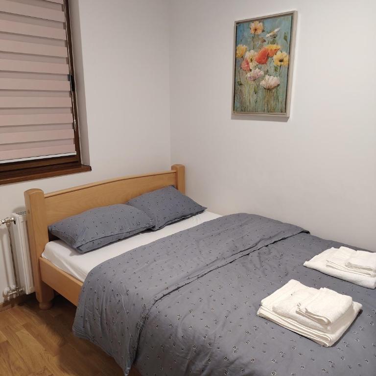 Stela Divcinova - Apartman sa 1 Spavaćom Sobom - 6