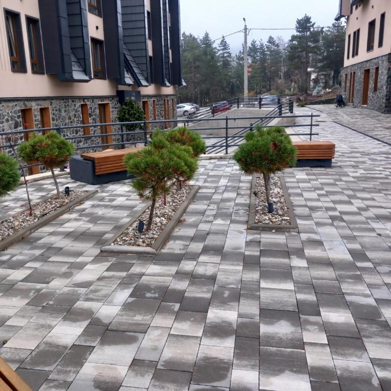 Stela Divcinova - Apartman sa 1 Spavaćom Sobom - 18