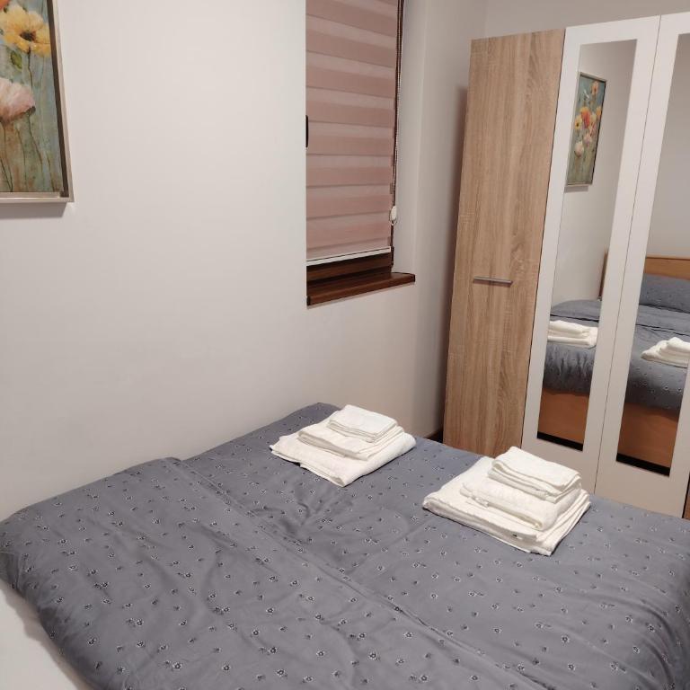 Stela Divcinova - Apartman sa 1 Spavaćom Sobom - 7