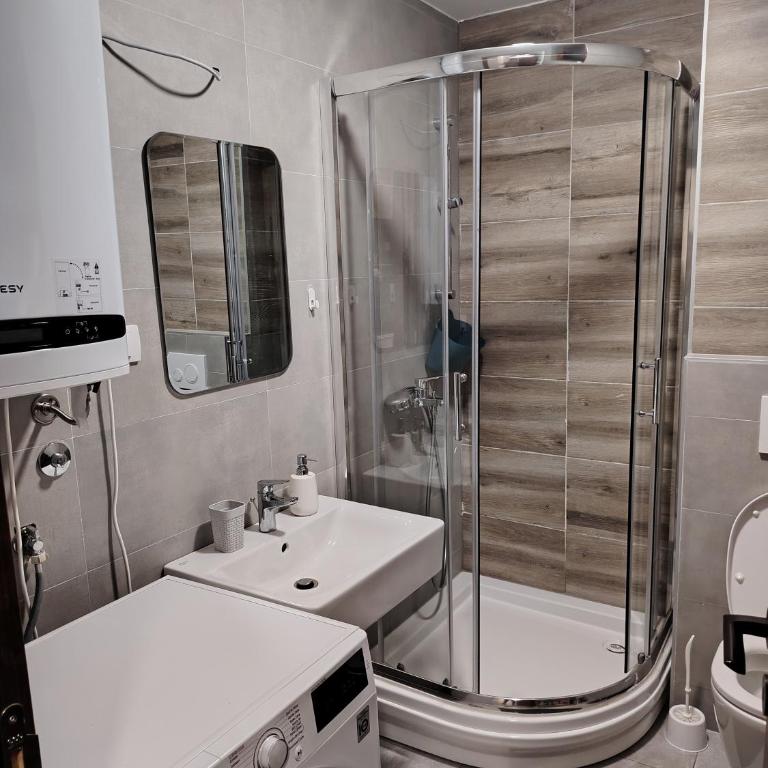 Stela Divcinova - Apartman sa 1 Spavaćom Sobom - 13