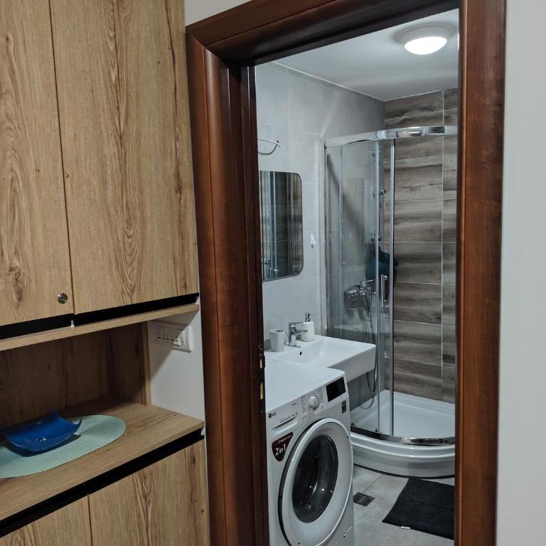 Stela Divcinova - Apartman sa 1 Spavaćom Sobom - 11