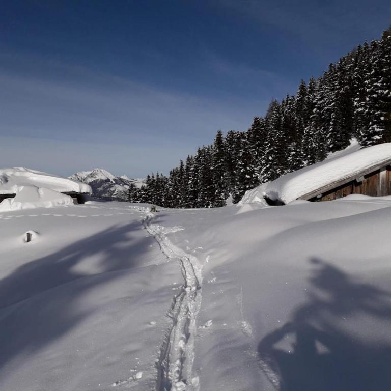 Lauton Dolomiti Relax Apartment - mit Jacuzzi-Badewanne - Appartamento con 1 Camera da Letto - 6