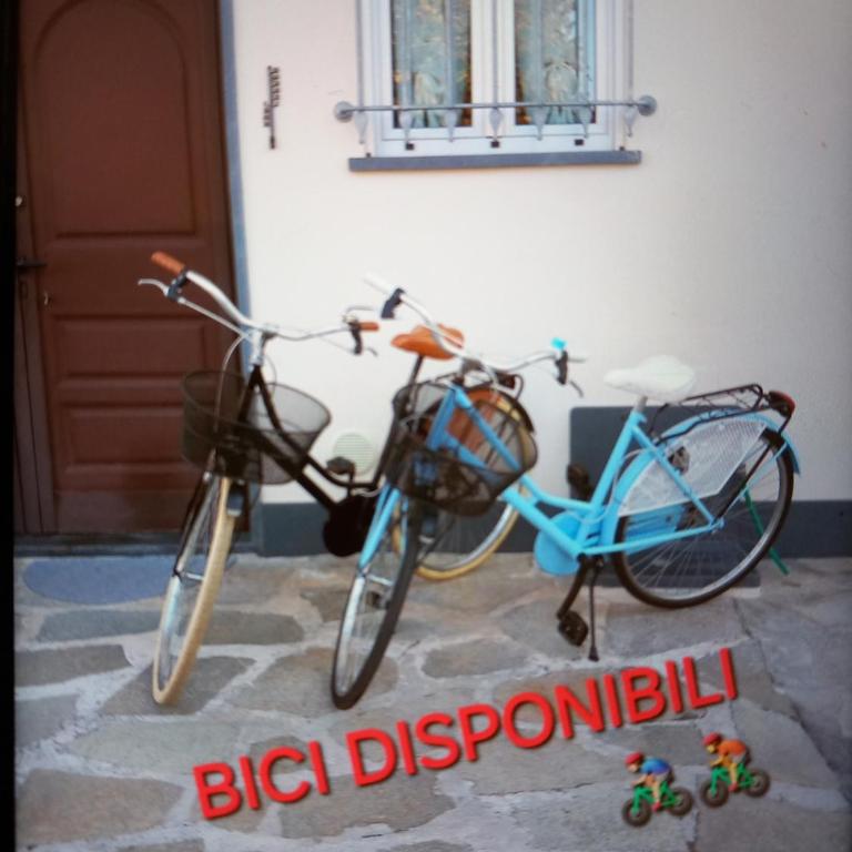 Casa Bianca - Apartment mit 1 Schlafzimmer - 13
