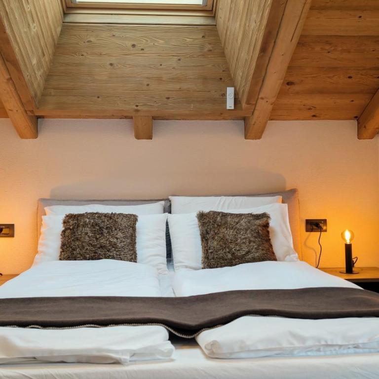 Silva: The Alpine Chalet - One-Bedroom Apartment with Balcony - 9