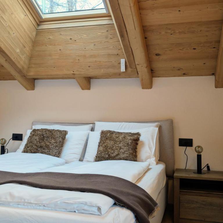 Silva: The Alpine Chalet - One-Bedroom Apartment with Balcony - 10