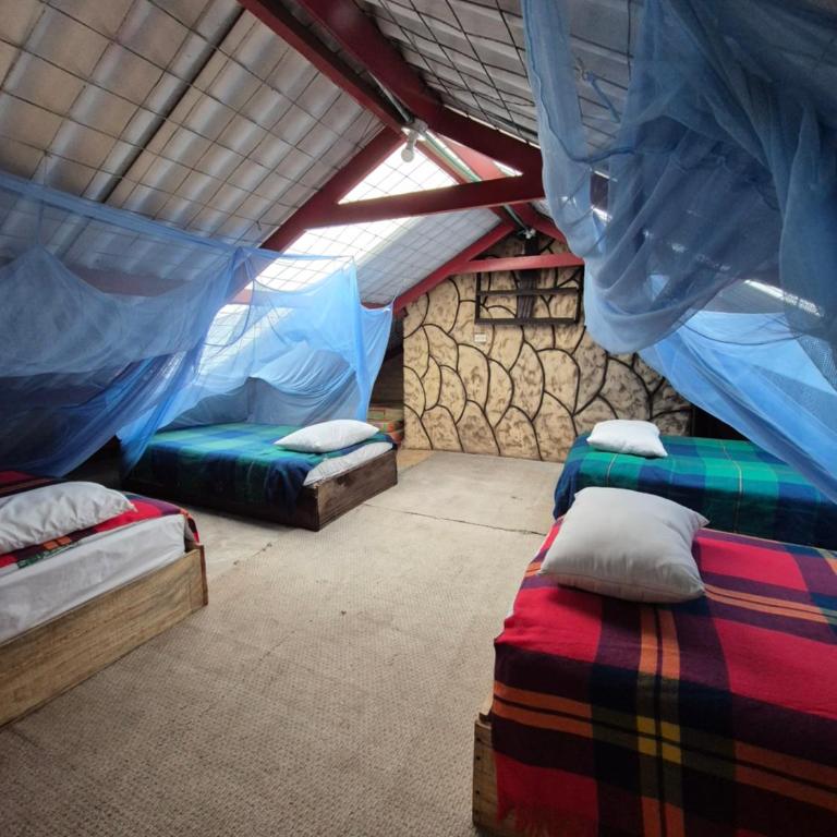 Cabaña Vie Donaire - Habitación Compartida Mixta - 4 camas - 4