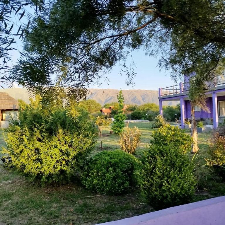 Flor silvestre - Casa con 1 dormitorio - 9