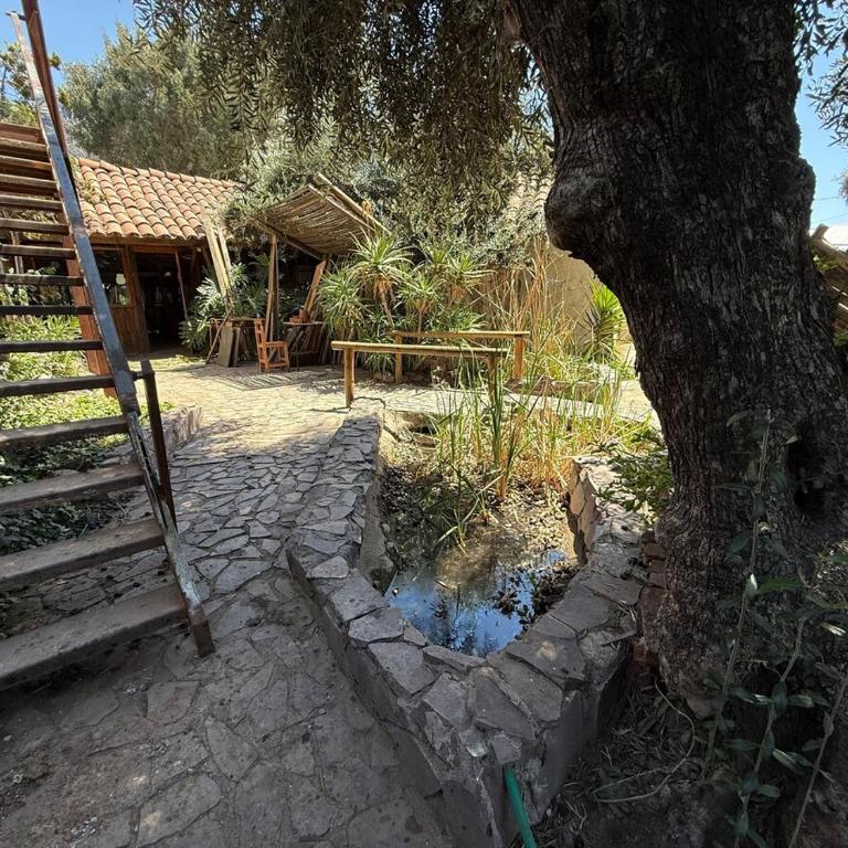 Loft acogedor en el campo - Apartamento de 1 dormitorio - 9