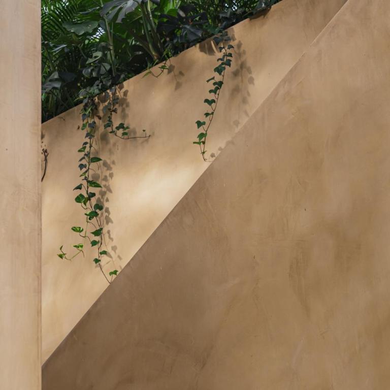 Arde La Selva - Villa con piscina privada - 1