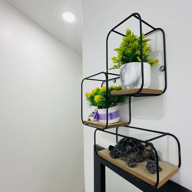 Sea Lion Suite 02 - Apartamento de 2 dormitorios - 10