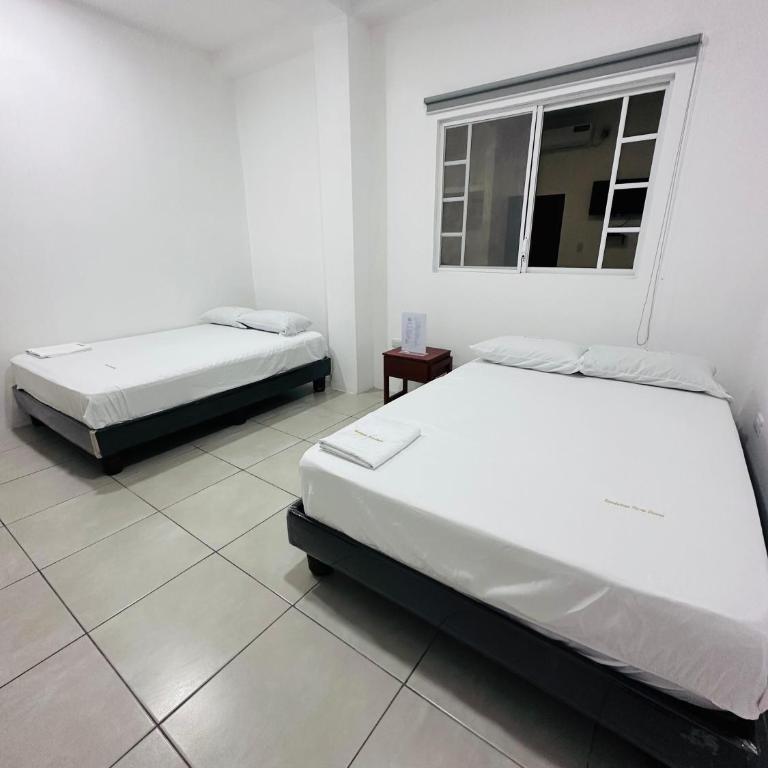 Sea Lion Suite 02 - Apartamento de 2 dormitorios - 13