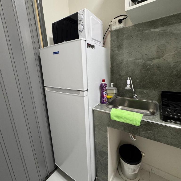 Monoambiente Familia Borch! Aconchego e Conforto! - One-Bedroom Apartment - 16