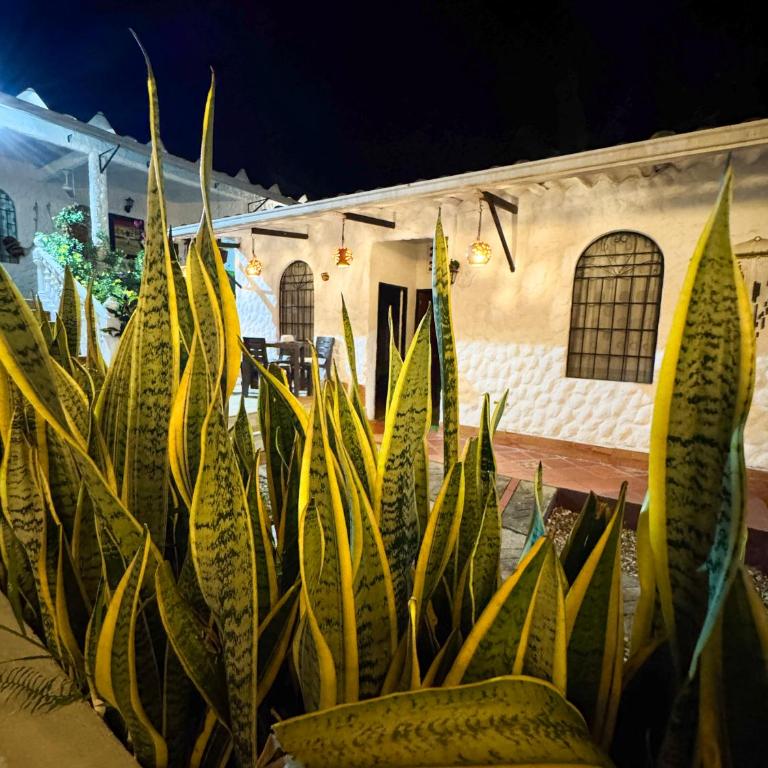 Villa Clara Casa Campestre, Piscina, Naturaleza, Paseo de Río - Casa - 45