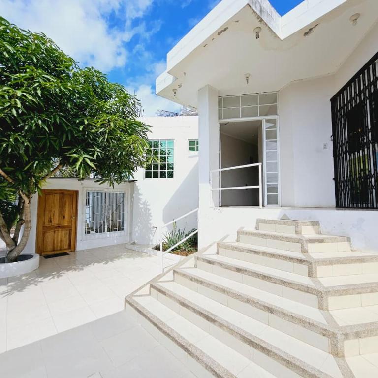 León Dormido Suite 01 - Apartamento de 2 dormitorios - 22