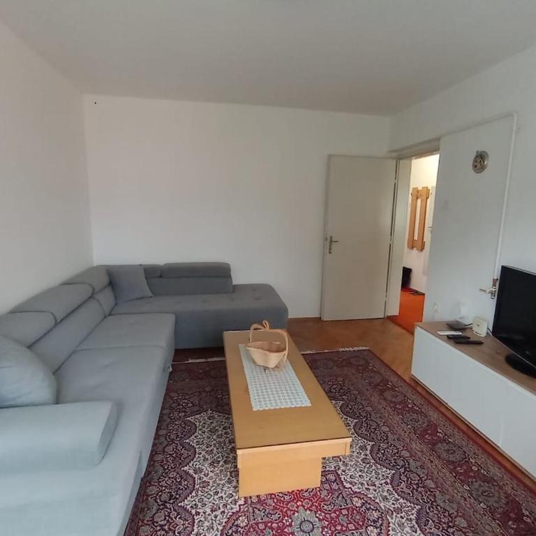 Retro aparment in the heart of Sarajevo - Apartman sa 2 Spavaće Sobe - 7