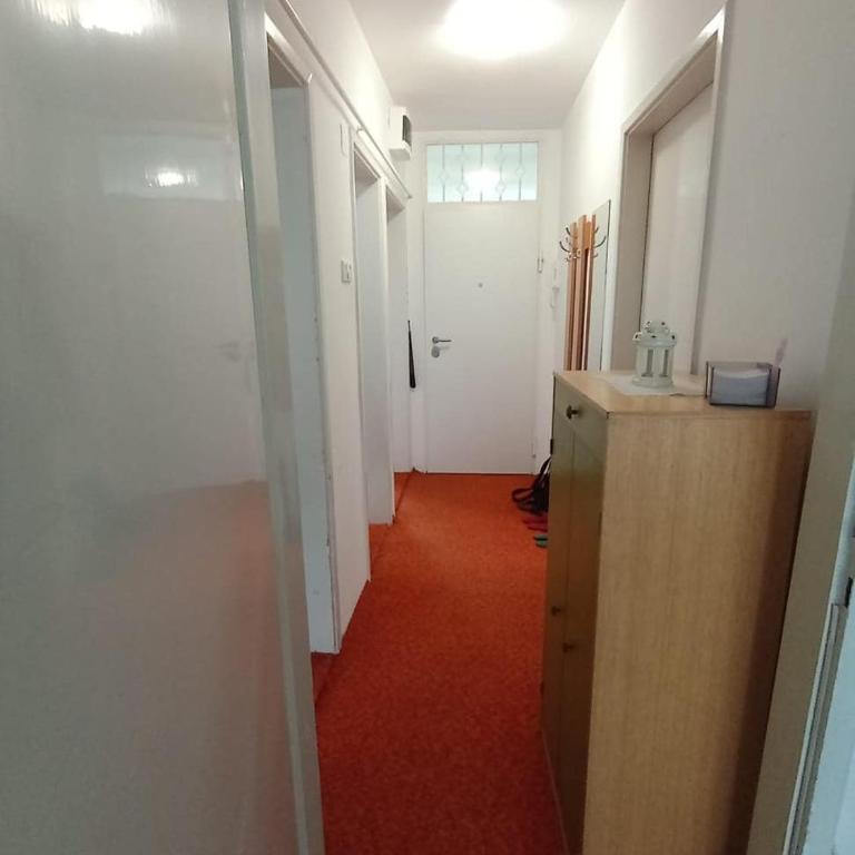 Retro aparment in the heart of Sarajevo - Apartman sa 2 Spavaće Sobe - 16