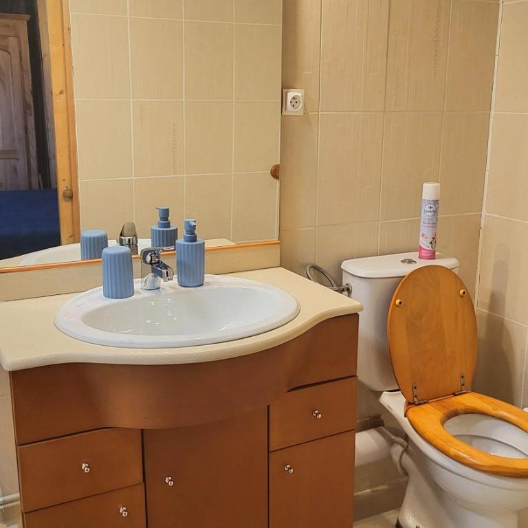 Le coeur d'Odeillo - Appartement 1 Chambre - 26