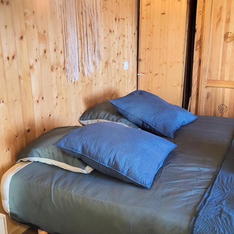 Le coeur d'Odeillo - Appartement 1 Chambre - 22