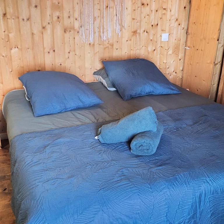 Le coeur d'Odeillo - Appartement 1 Chambre - 20