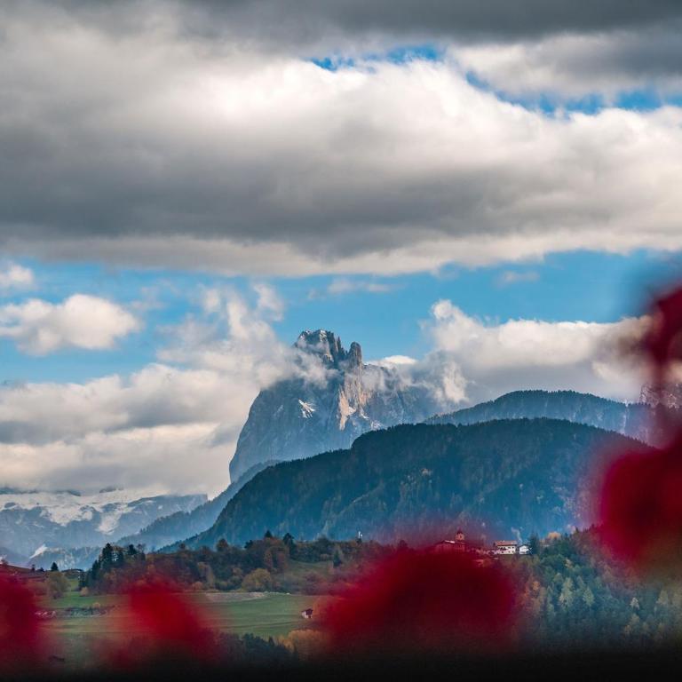 HAUSERHOF Farmhouse with Dolomite View - Apartment mit Gartenblick - 33
