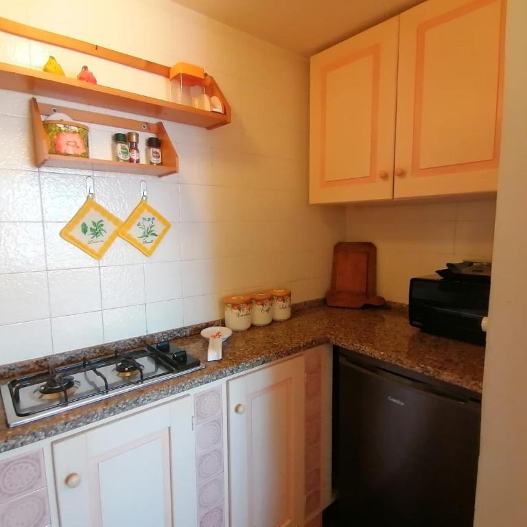 Teresa Home - One-Bedroom Apartment - 9