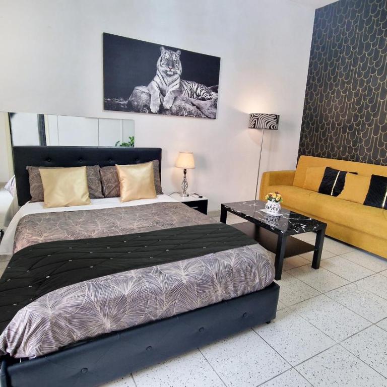 Black Studio - Appartamento Monolocale con Balcone - 2