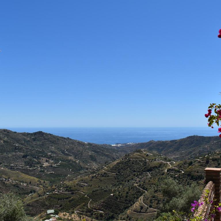 Finca Durillo with private Pool - Chalet de 3 dormitorios - 27