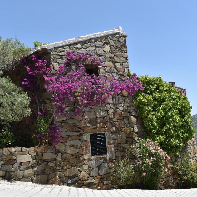 Finca Durillo with private Pool - Chalet de 3 dormitorios - 31