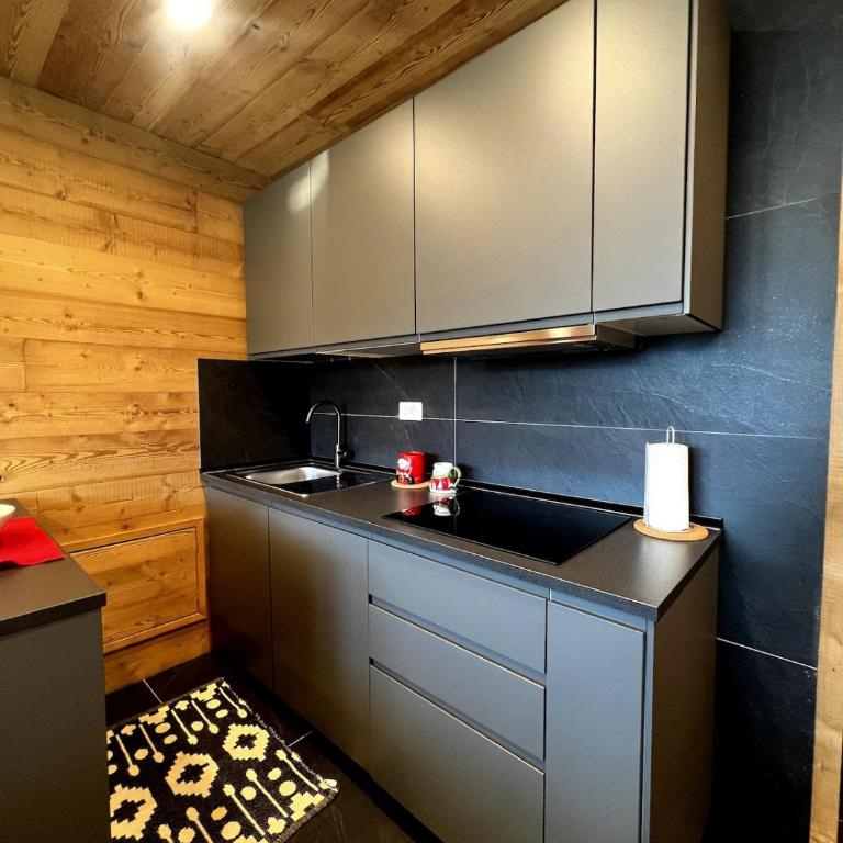 The Modern Ski Lodge Prato Nevoso - Appartement 2 Chambres - 10