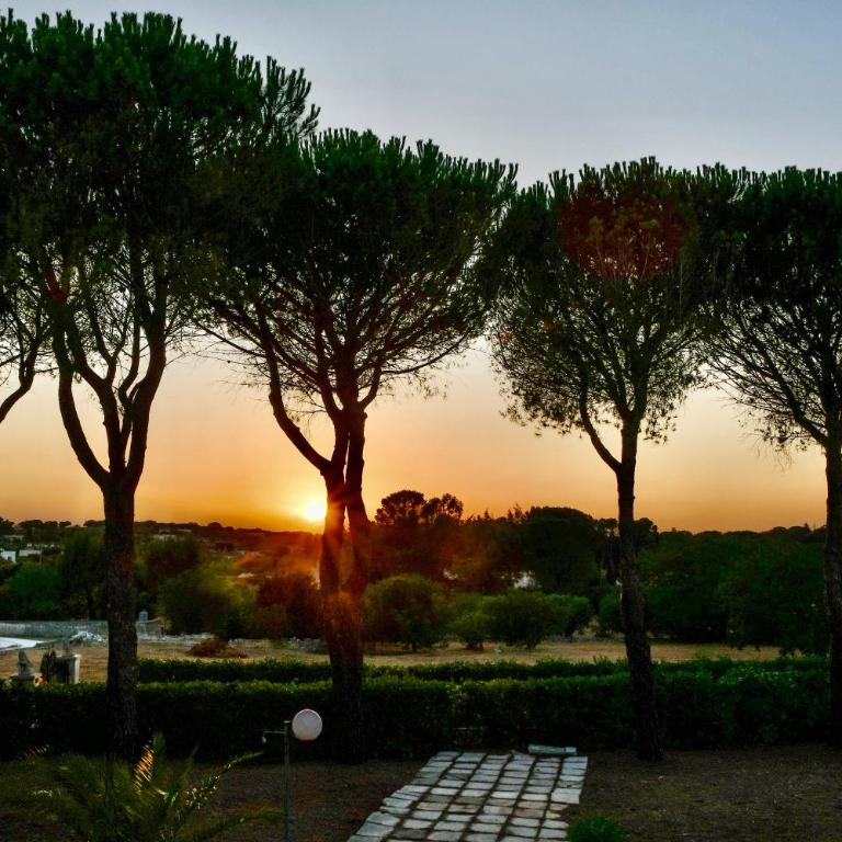 Villa Cinque Pini - Villa con 3 Camere da Letto - 21