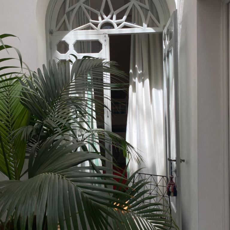 CASA PALACIO LAS MARÍAS - Ideal for Family Gatherings, Retreats and Workshops - Villa - 35