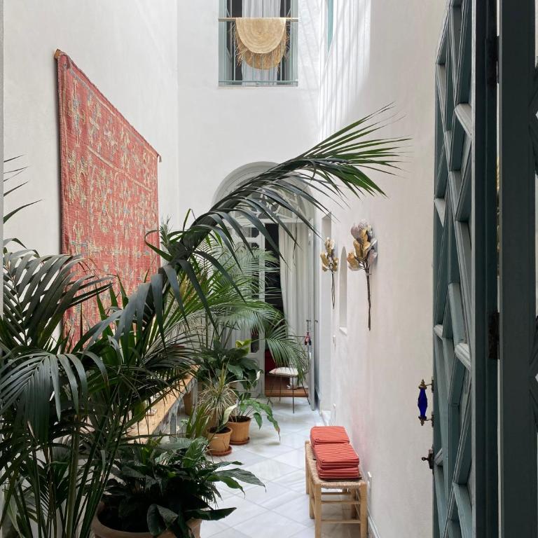 CASA PALACIO LAS MARÍAS - Ideal for Family Gatherings, Retreats and Workshops - Villa - 29
