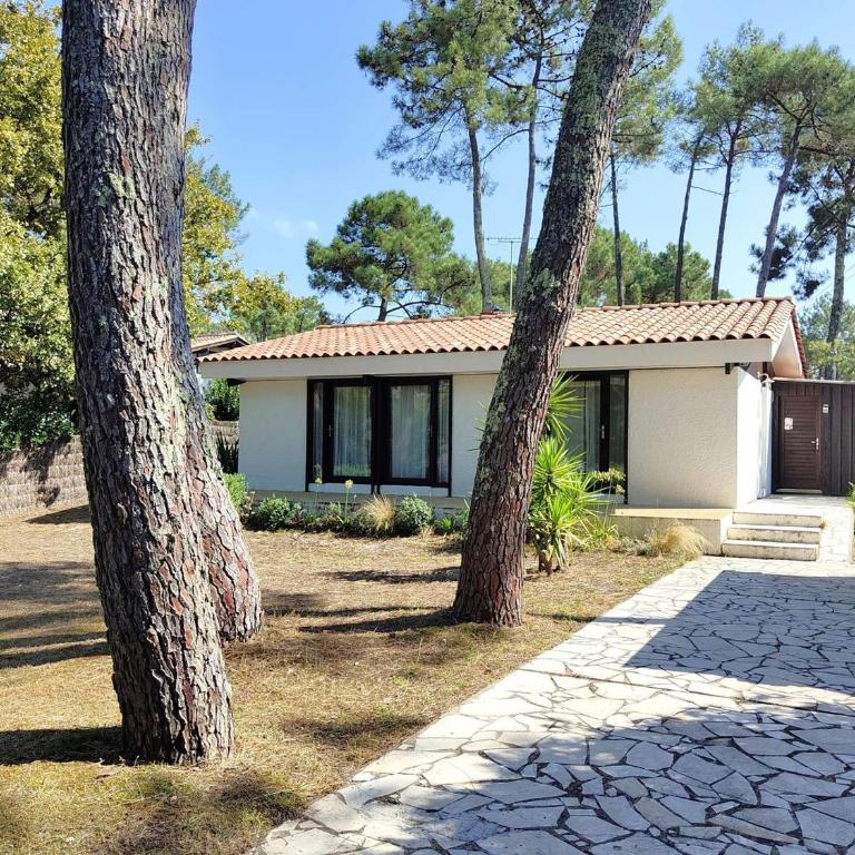 Villa rénovée avec jardin, terrasse, clim et WiFi à Lège-Cap-Ferret - Villa 3 Chambres - 20