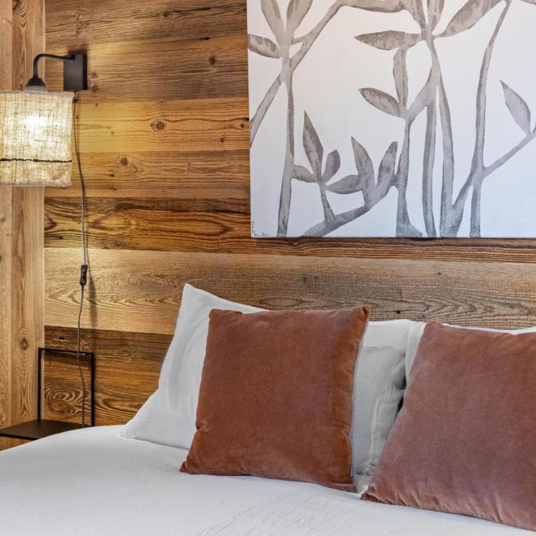 Silverfox - 6 pers - belle vue - Chalet - 9