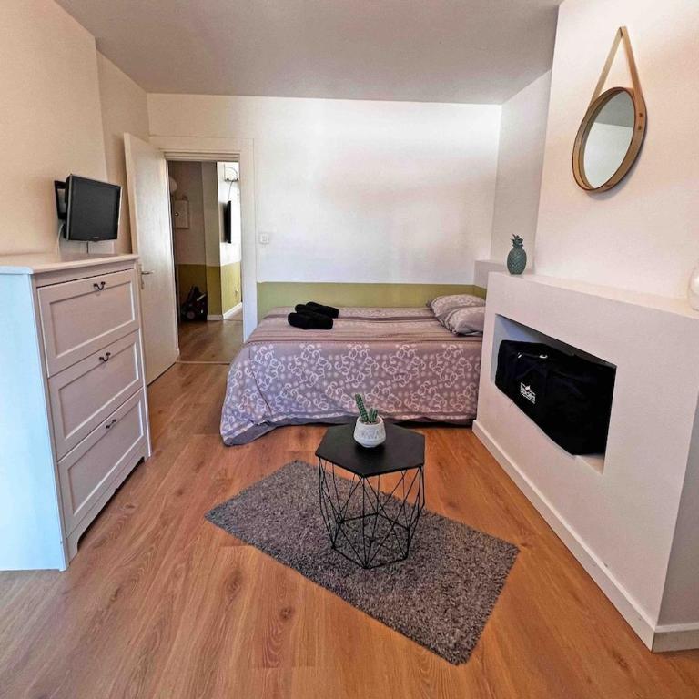 Cosy appartement, Nancy center - Appartamento con 1 Camera da Letto - 3