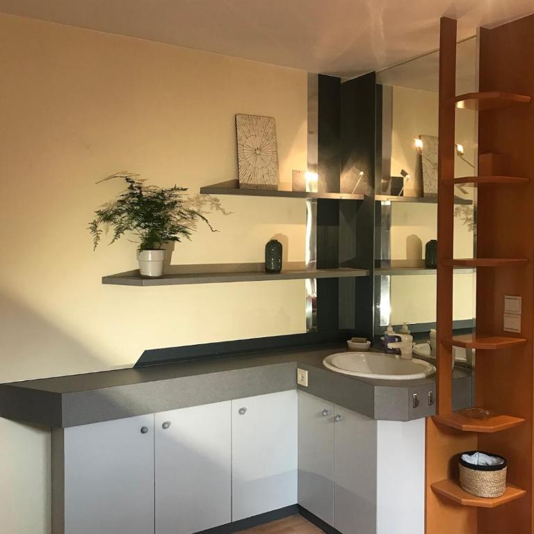 Le Chillou du Lac location du samedi au samedi - Appartement 1 Chambre - 14