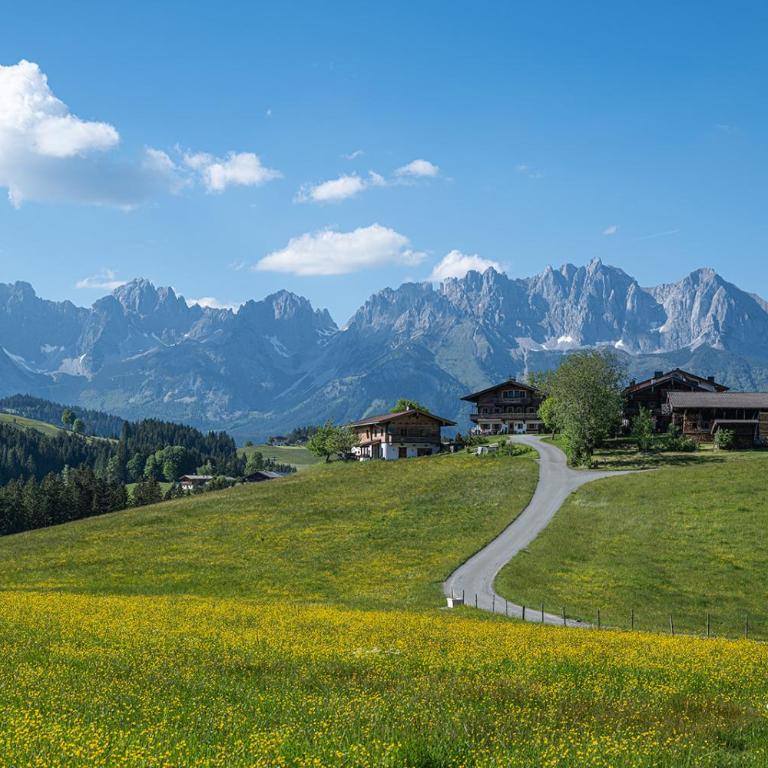 Yogahof Kitzbühel - Boutique Alpine Hideaway - Appartamento con Vista e Balcone - 35