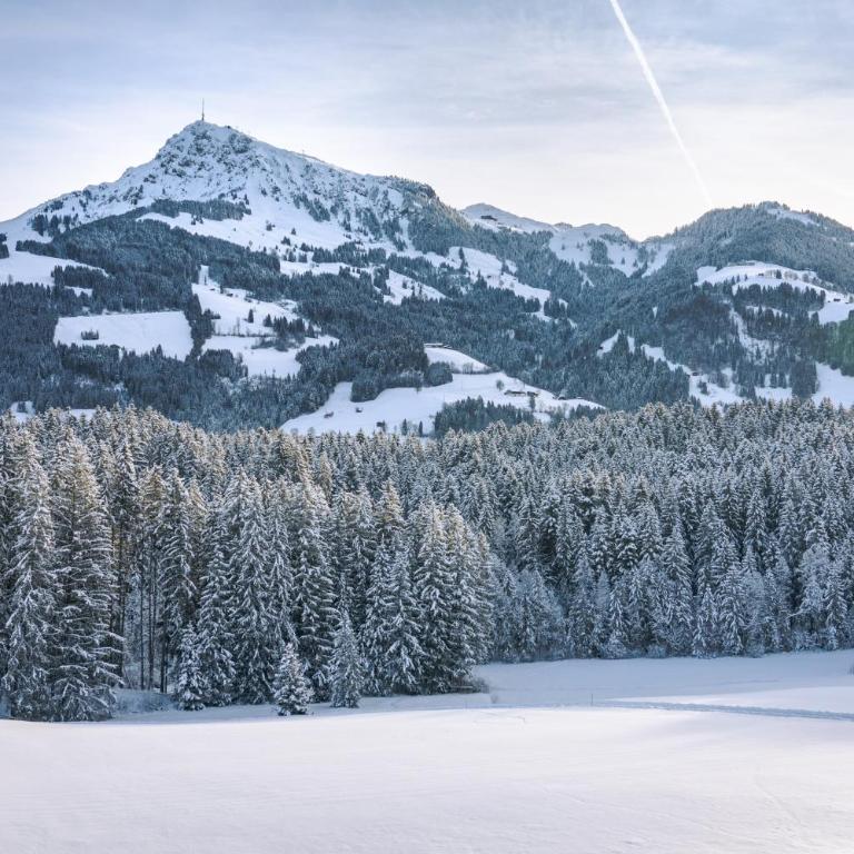 Yogahof Kitzbühel - Boutique Alpine Hideaway - Appartamento con Vista e Balcone - 4