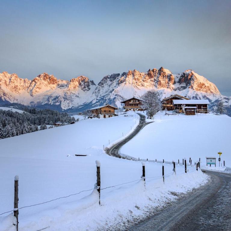 Yogahof Kitzbühel - Boutique Alpine Hideaway - Appartamento con Vista e Balcone - 3
