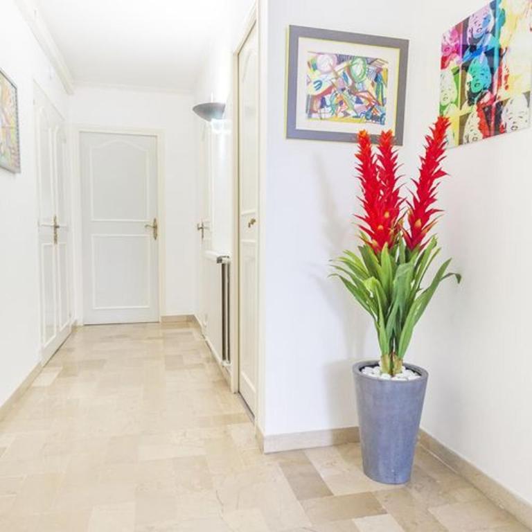 Lovely One bedroom Martinez Cannes - Apartamento - 13
