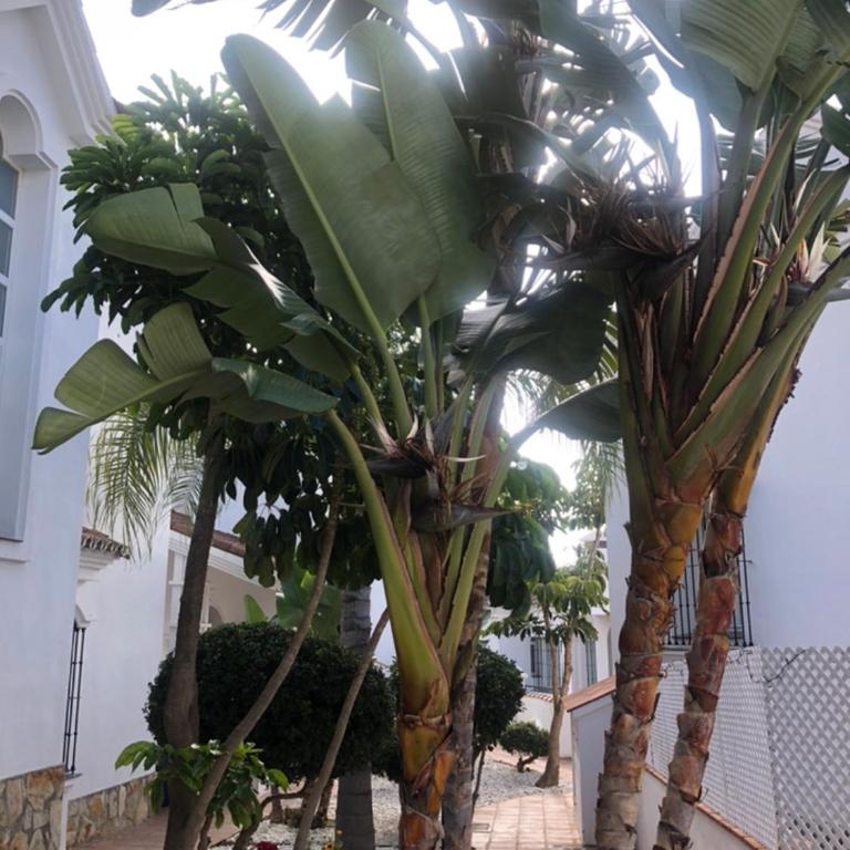 Charming 2Bedroom, Spectacular Views! - Apartamento de 2 dormitorios - 25